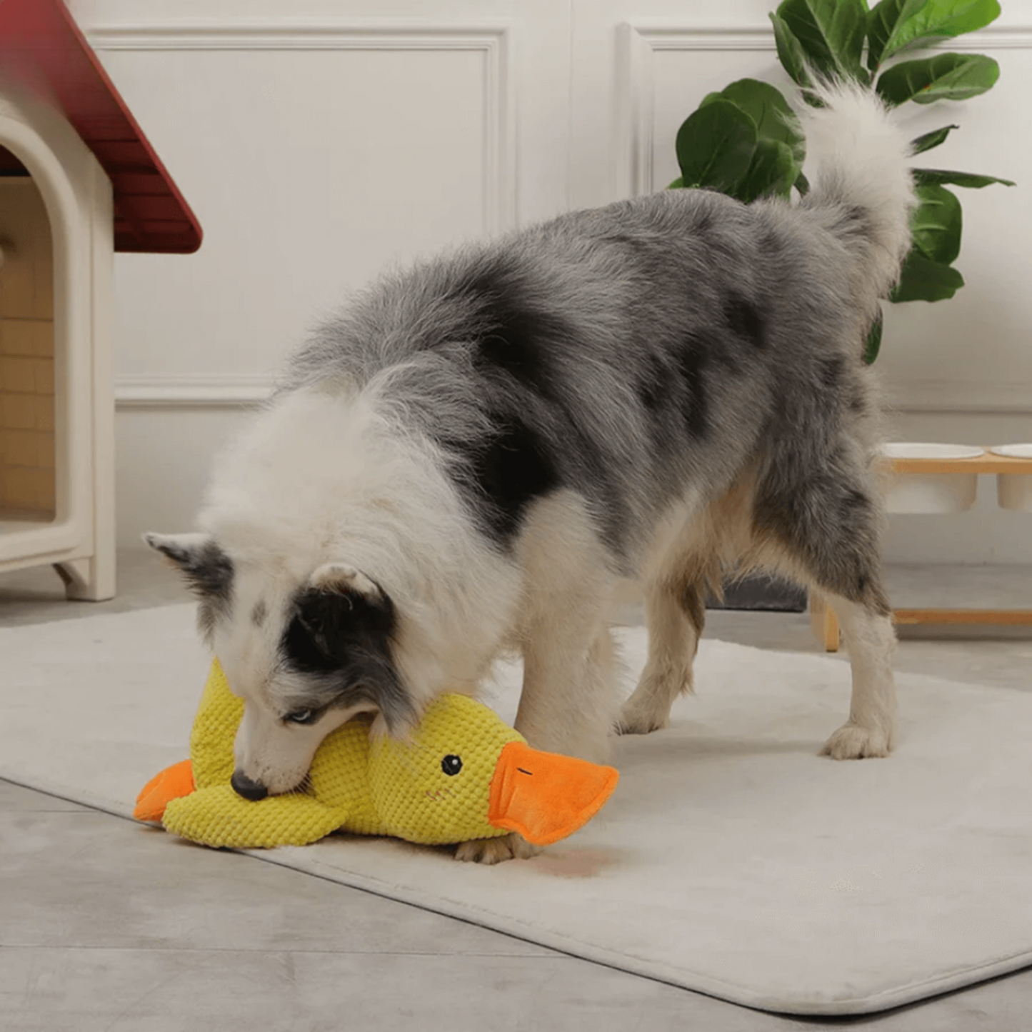 🐾 DoggieQuackPal™ – Sjov og blød ven til din hund