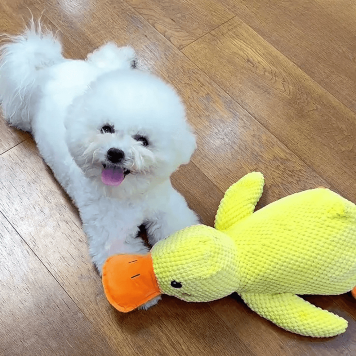 🐾 DoggieQuackPal™ – Sjov og blød ven til din hund