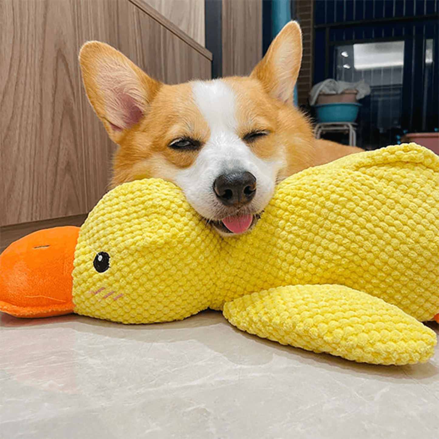 🐾 DoggieQuackPal™ – Sjov og blød ven til din hund