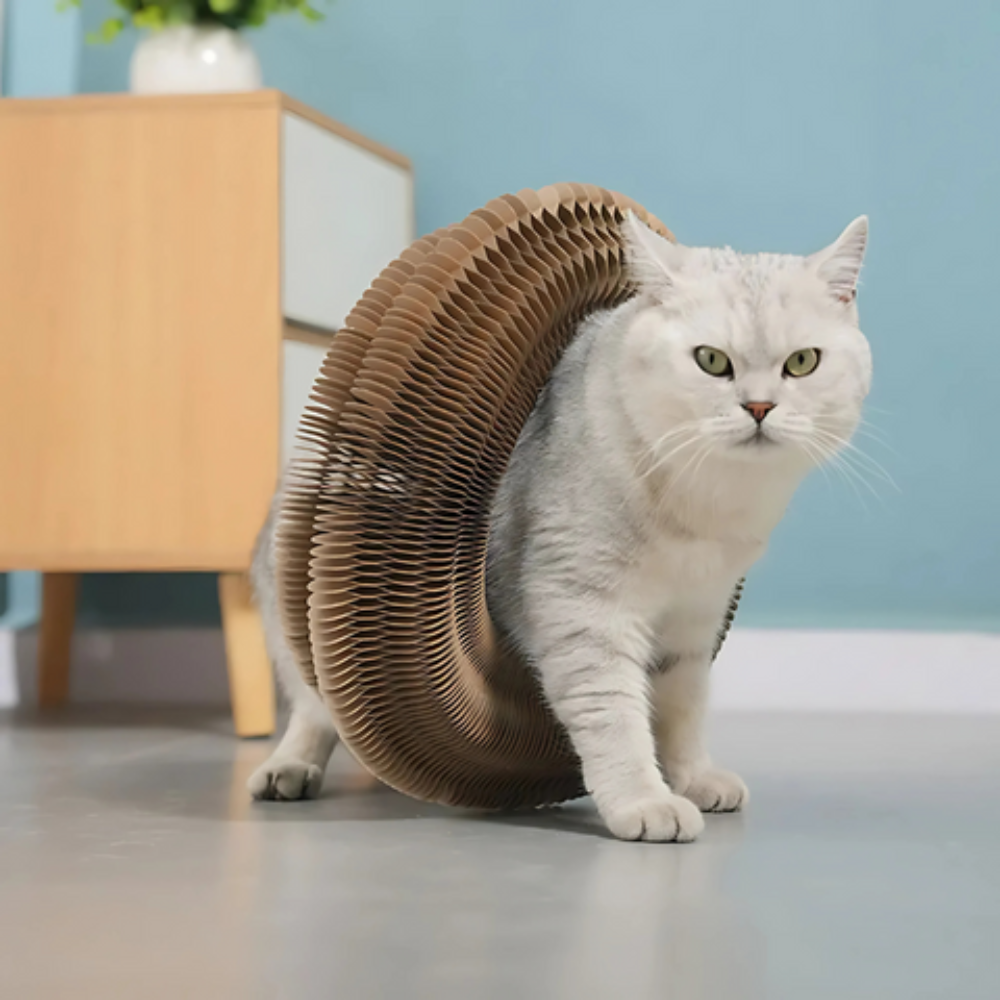Catfri® – Katten kradser