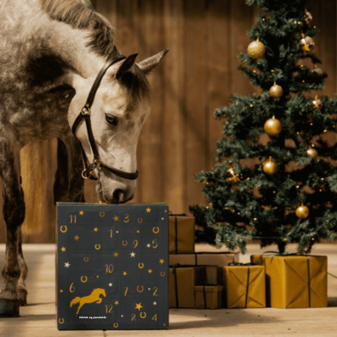 24HorseDays™ – Julens nedtælling for ægte hesteelskere