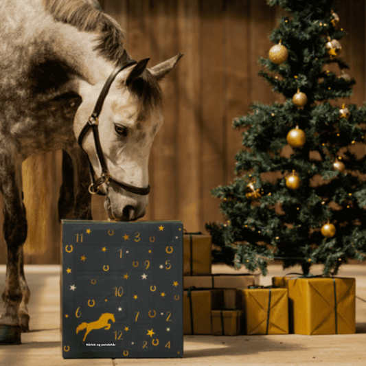 24HorseDays™ – Julens nedtælling for ægte hesteelskere