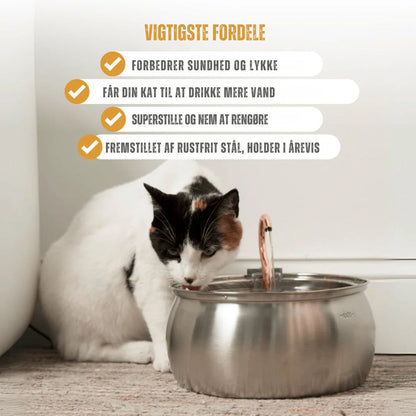 FelineFountain™ | Sig farvel til urinvejsproblemer hos katte