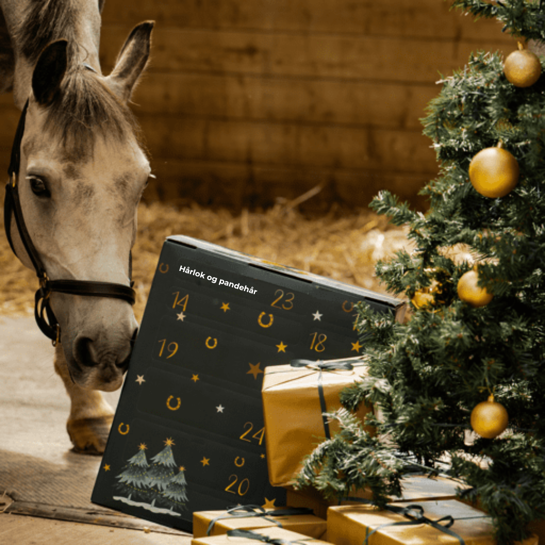 24HorseDays™ – Julens nedtælling for ægte hesteelskere