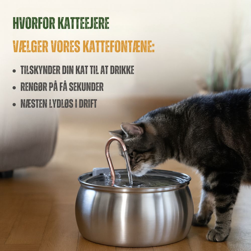 FelineFountain™ | Sig farvel til urinvejsproblemer hos katte