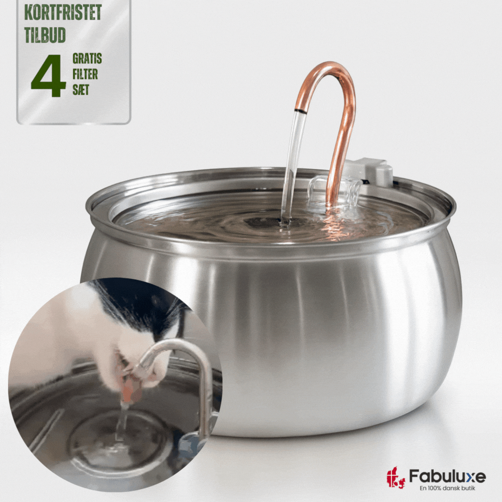 FelineFountain™ | Sig farvel til urinvejsproblemer hos katte