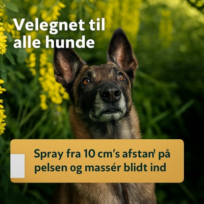 Anti-Parasit Loppemiddel og Flåtmiddel | Beskyt din hund mod parasitter | 100 ml