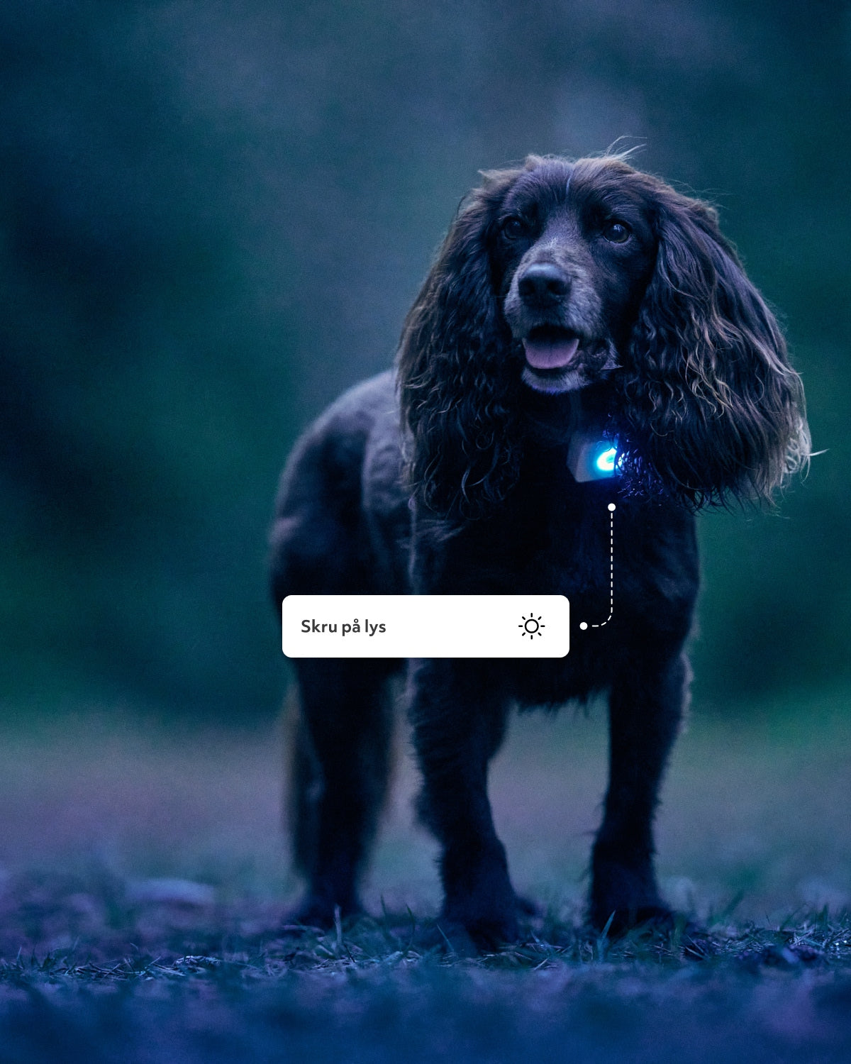 Lildog GPS-tracker
